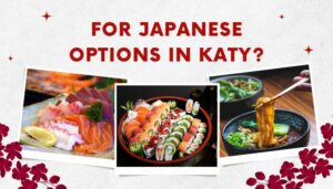 For Japanese Options In Katy?